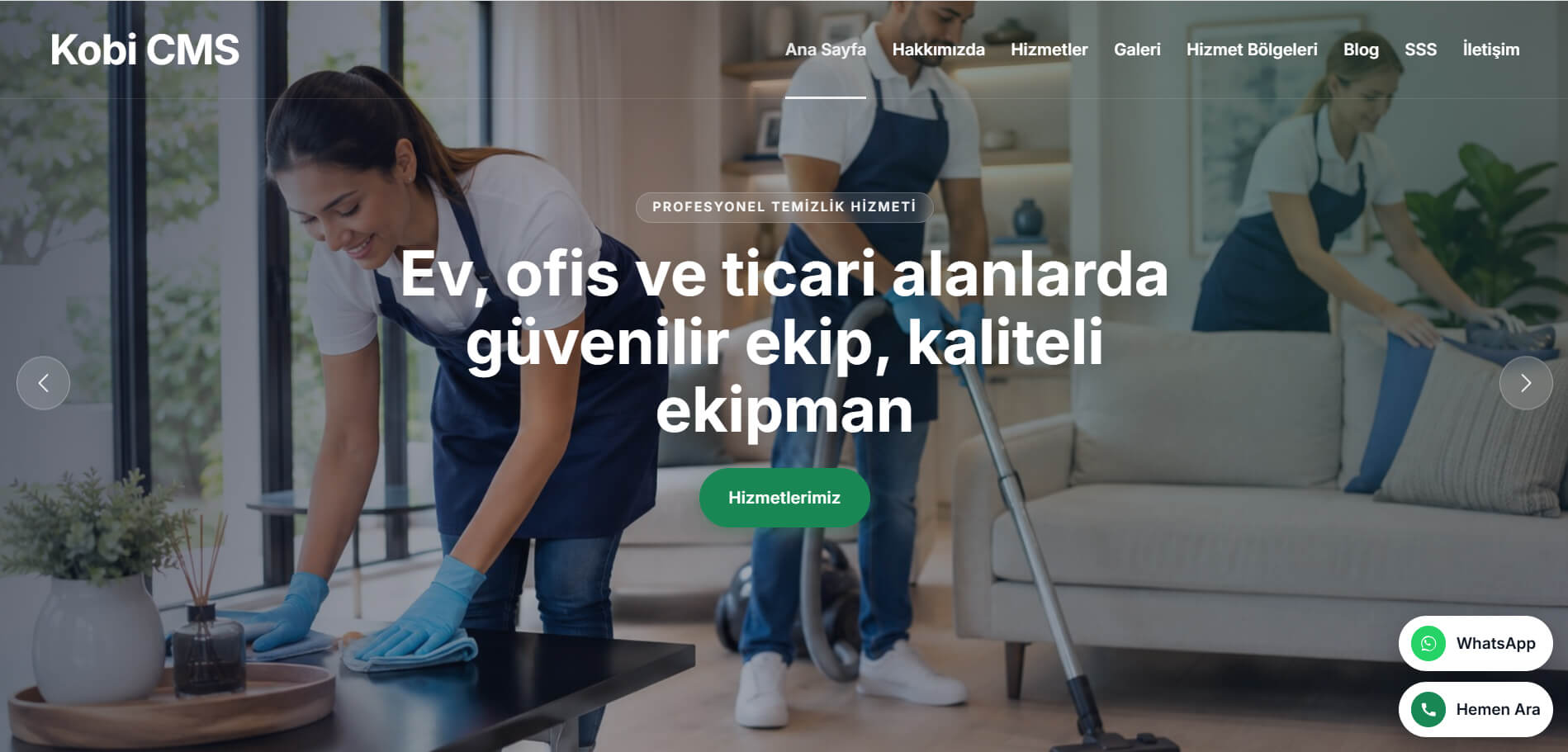Temizlik Şirketi Web Sitesi Tasarımı